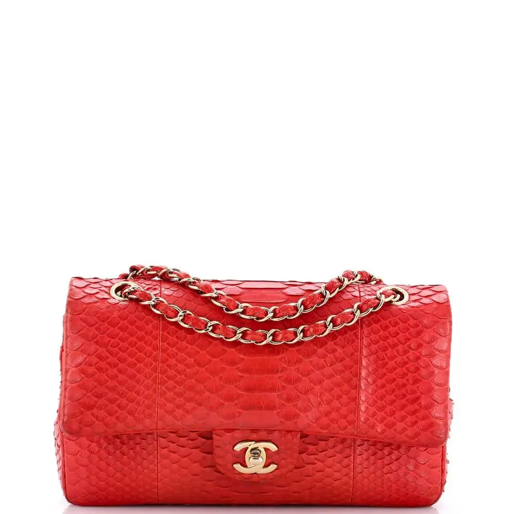 Chanel Classic Double Flap Bag Python #242391C48B - Picture 1 of 8